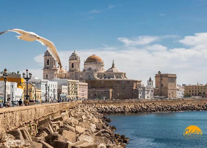 Delfin Azul By Cadiz Time